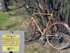 u-bike