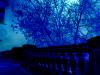 10th in blue