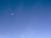 Flying away
