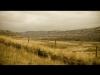True prairies